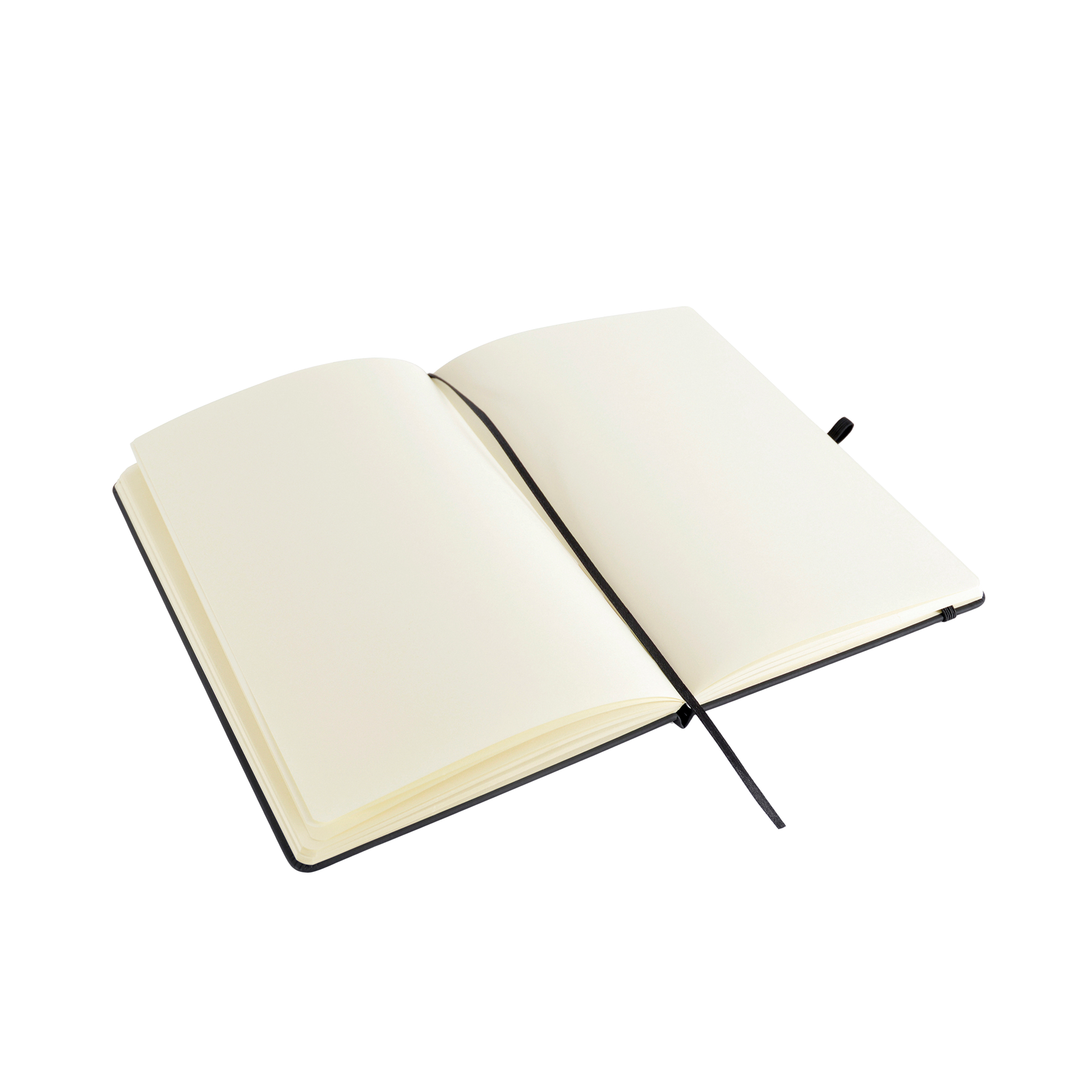 GRIMDARK - Aquilla Unruled Notebook Inside