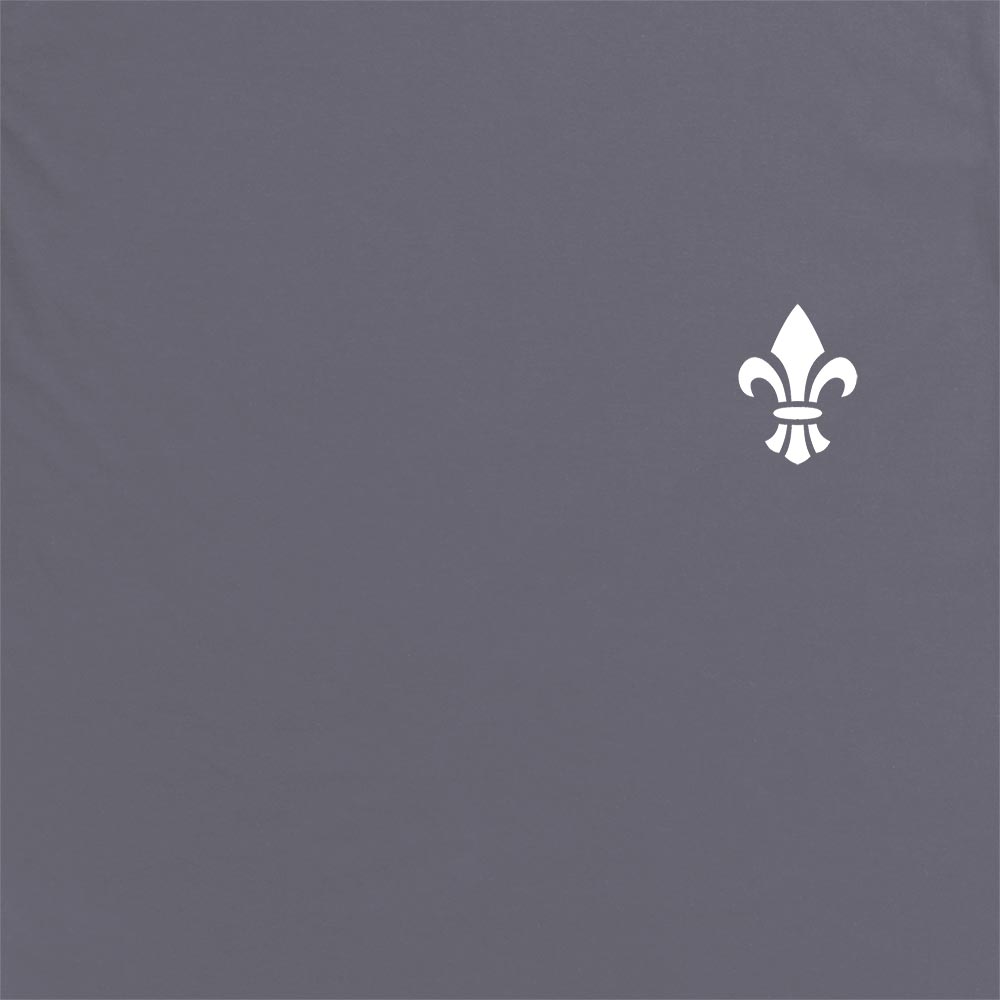 Adepta Sororitas Insignia Hoodie