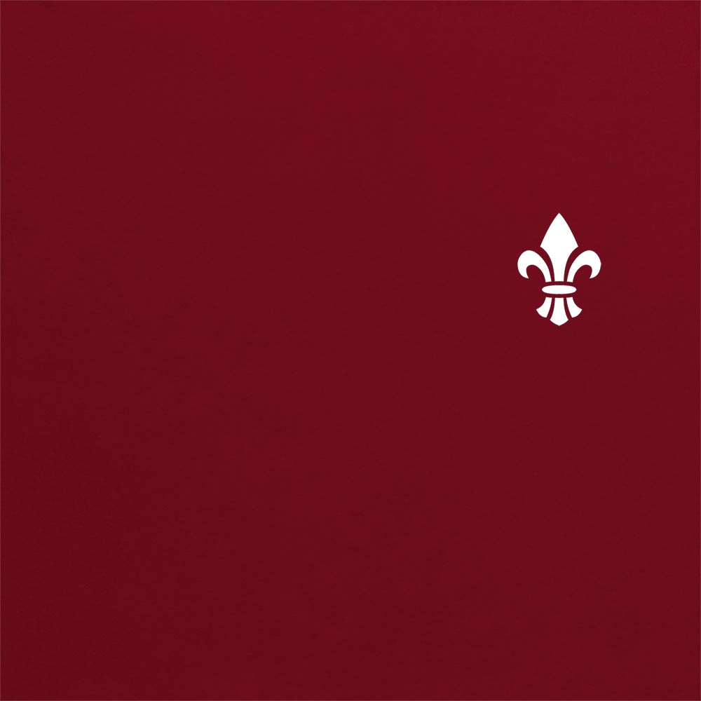 Adepta Sororitas Insignia Hoodie